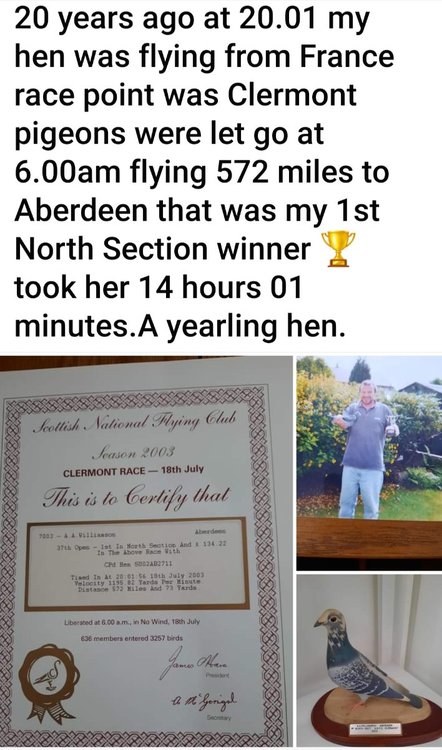 Screenshot_20230718_104438_Facebook.jpg