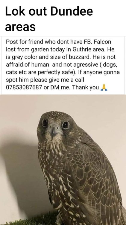 Screenshot_20231122_125319_Facebook.jpg