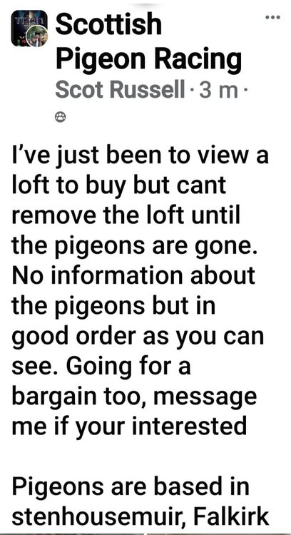 Screenshot_20240204_152221_Facebook.jpg