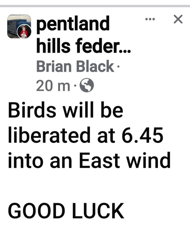 Screenshot_20240525_065152_Facebook.jpg