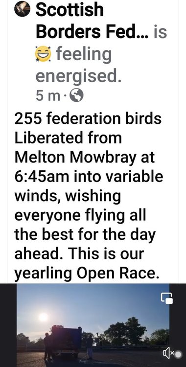Screenshot_20240525_072124_Facebook.jpg