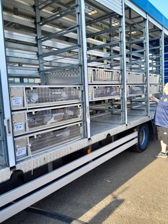 Loading Pentlandhills Transporter.jpg