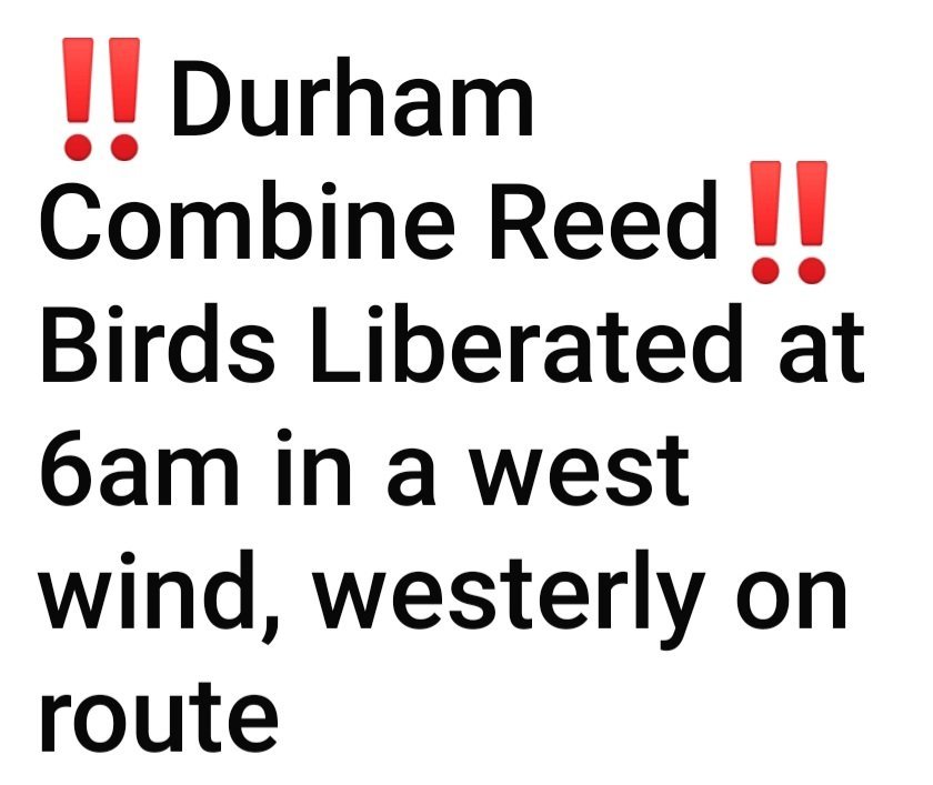 Screenshot_20240608_065413_Facebook.jpg