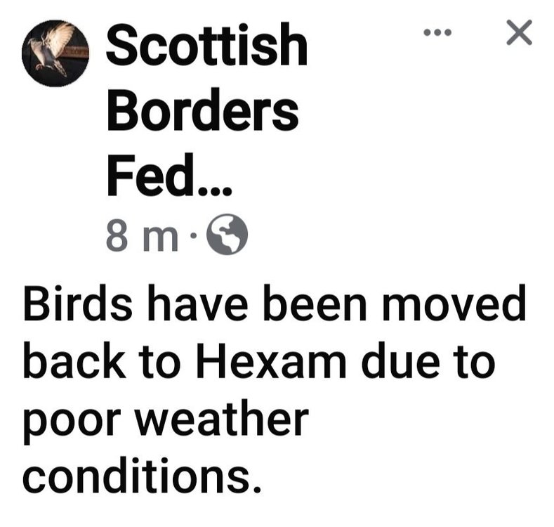Screenshot_20240608_072556_Facebook.jpg