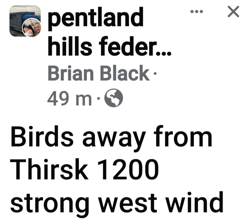Screenshot_20240608_130307_Facebook.jpg