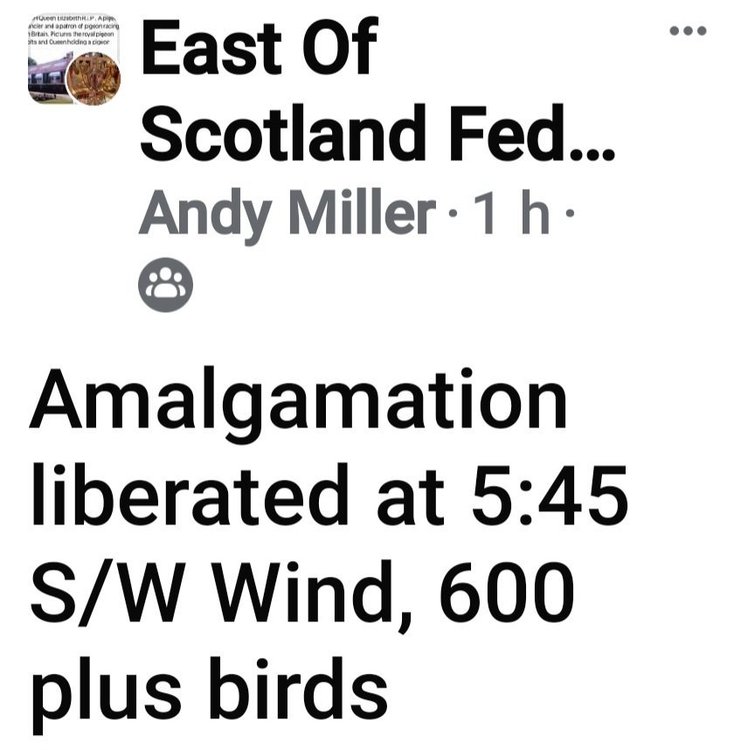 Screenshot_20240615_071858_Facebook.jpg