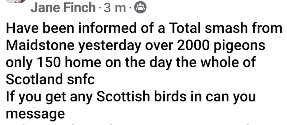 Screenshot_20240616_134156_Facebook.jpg