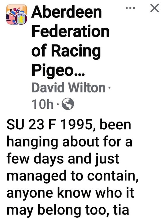 Screenshot_20240627_080720_Facebook.jpg