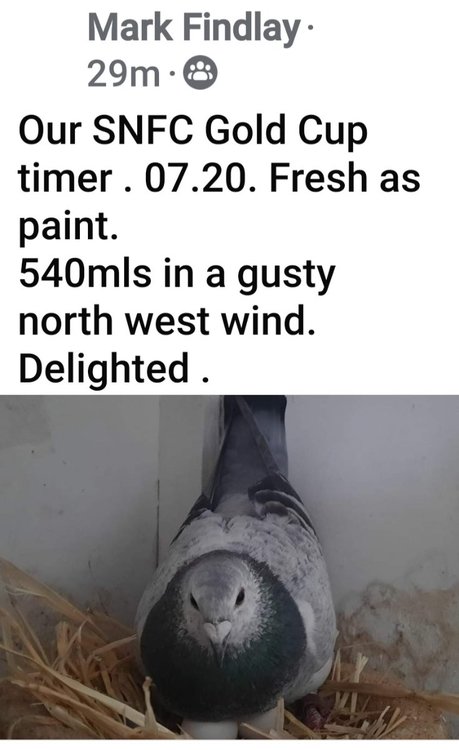 Screenshot_20240629_081354_Facebook.jpg