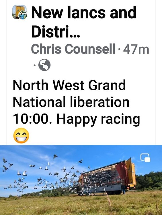 Screenshot_20240629_113555_Facebook.jpg