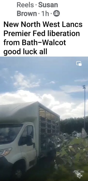 Screenshot_20240629_114411_Facebook.jpg