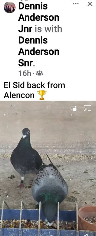 Screenshot_20240630_095707_Facebook.jpg