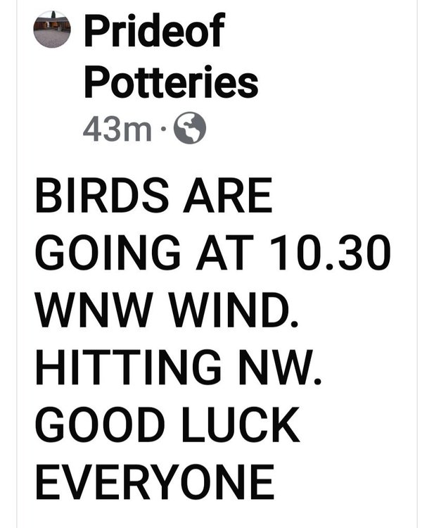 Screenshot_20240713_110136_Facebook.jpg