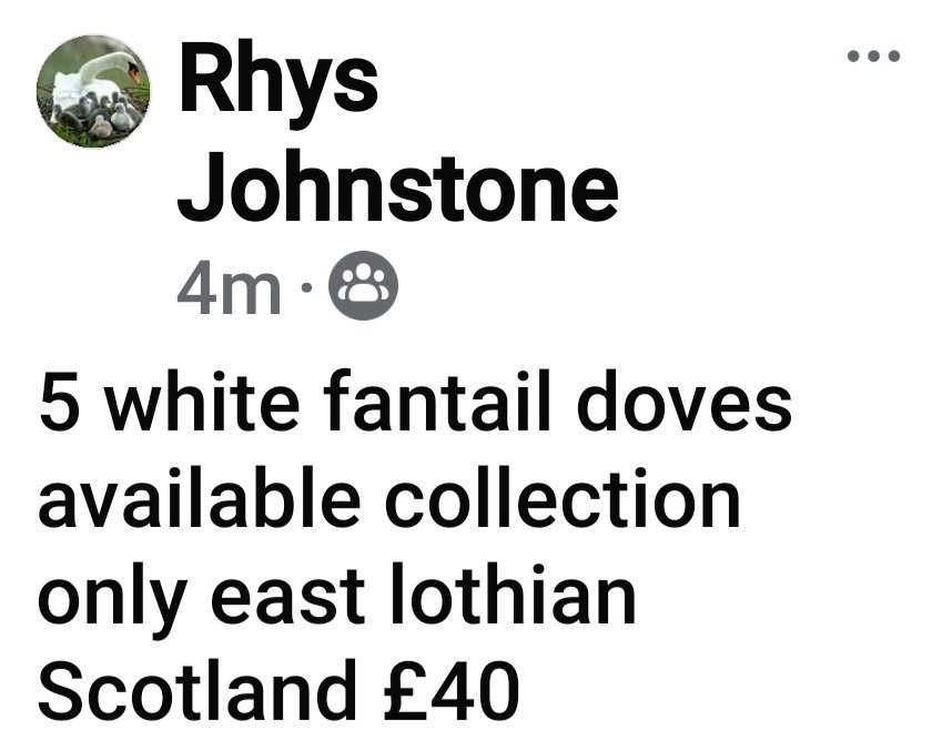Screenshot_20240714_150016_Facebook.jpg