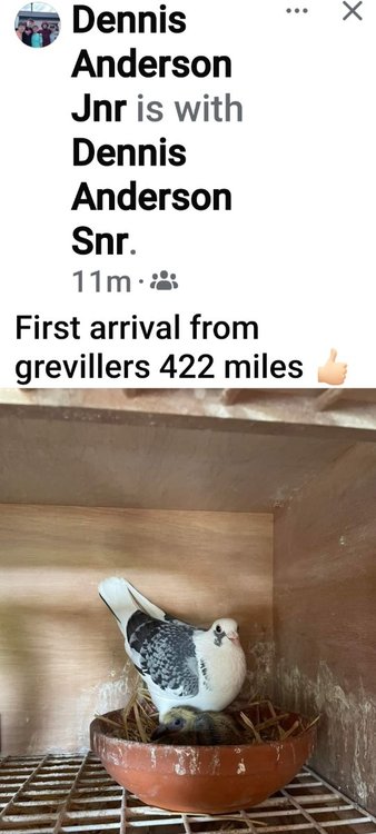 Screenshot_20240715_092754_Facebook.jpg