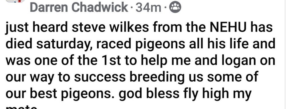Screenshot_20240716_080542_Facebook.jpg