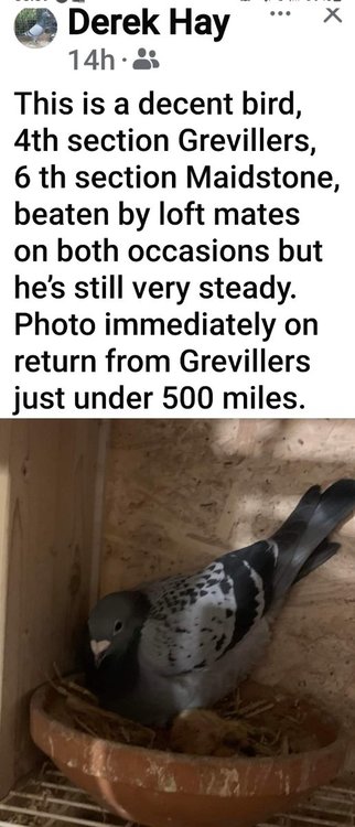 Screenshot_20240718_060904_Facebook.jpg