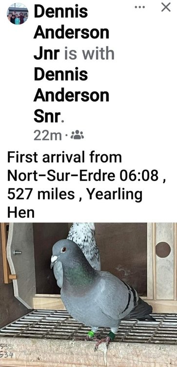 Screenshot_20240729_074648_Facebook.jpg