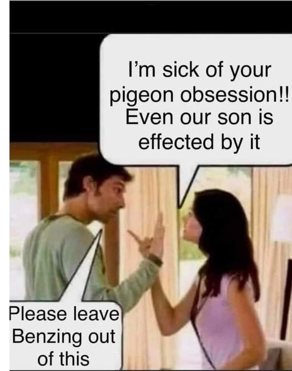 FB_IMG_1723798432680.jpg