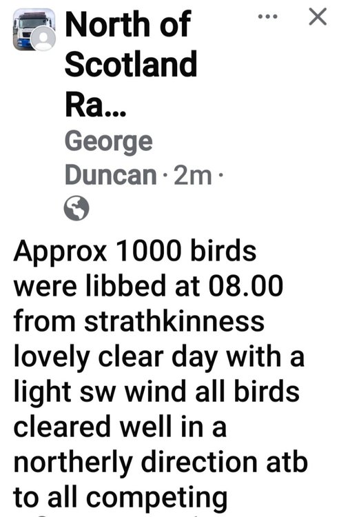 Screenshot_20240803_081654_Facebook.jpg