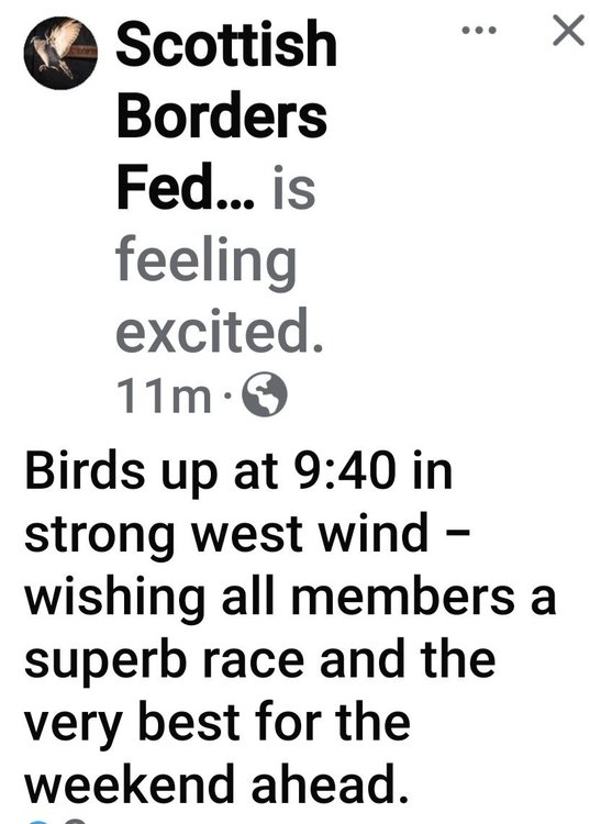 Screenshot_20240803_095730_Facebook.jpg