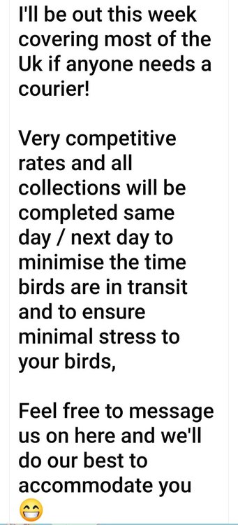 Screenshot_20240804_111223_Facebook.jpg