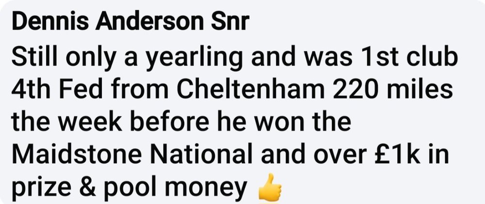 Screenshot_20240808_185333_Facebook.jpg