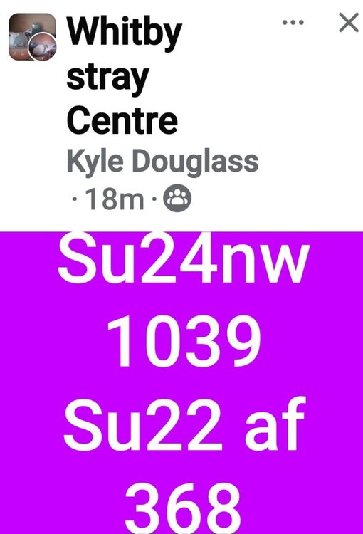Screenshot_20240809_123623_Facebook.jpg