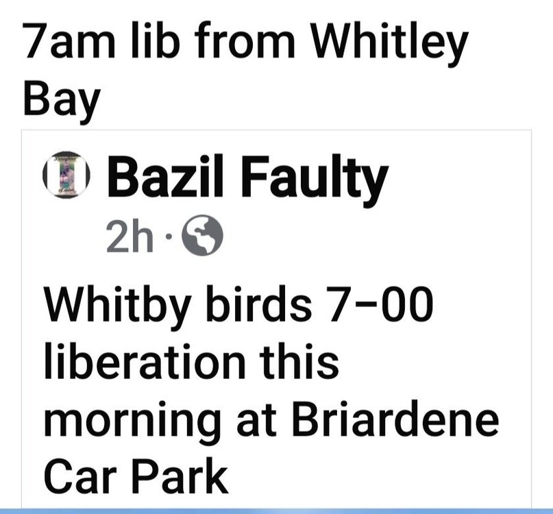 Screenshot_20240811_101812_Facebook.jpg