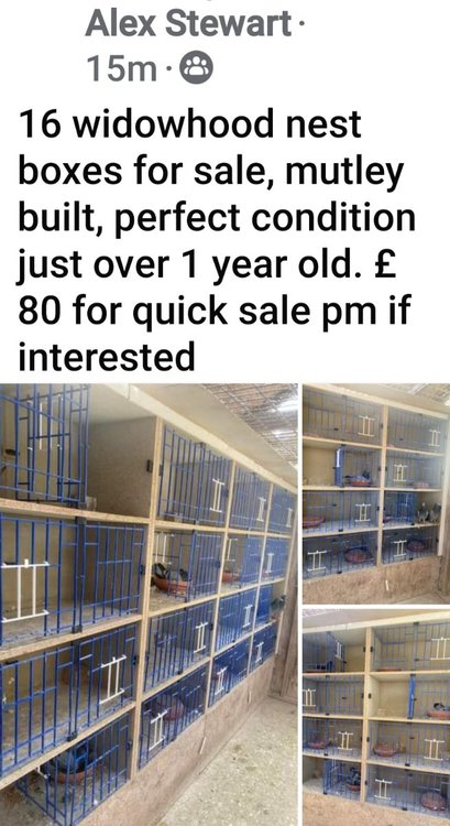 Screenshot_20240811_142932_Facebook.jpg