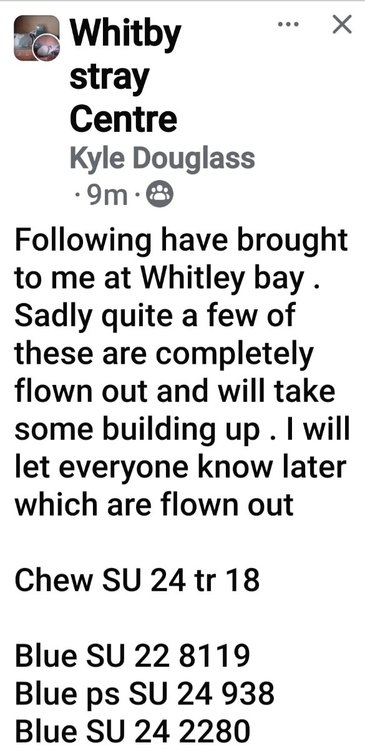 Screenshot_20240818_100010_Facebook.jpg