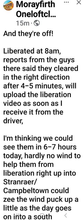 Screenshot_20240915_085155_Facebook.jpg
