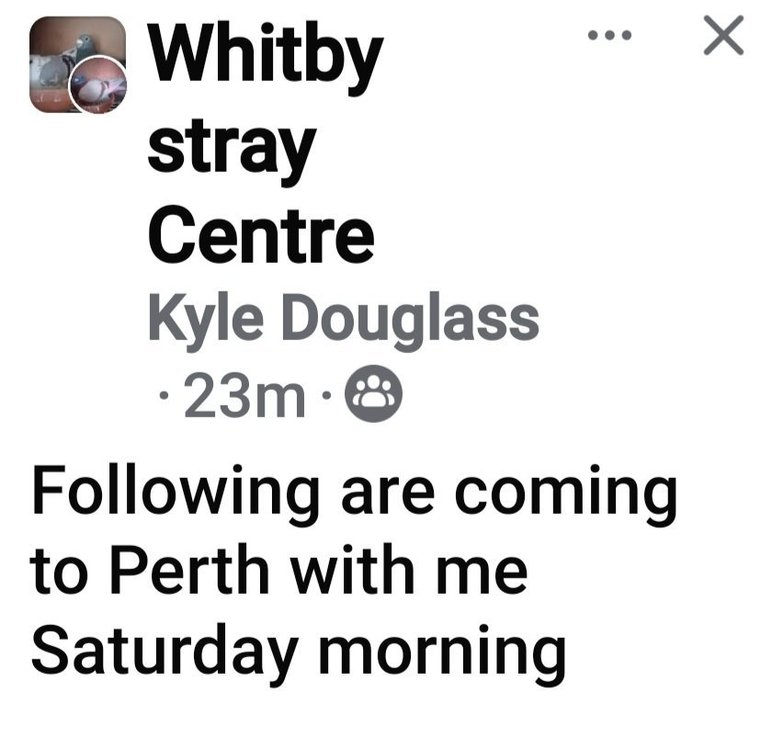 Screenshot_20240916_182447_Facebook.jpg