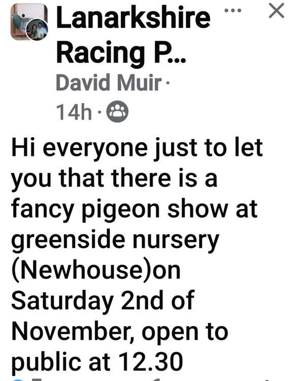 Screenshot_20241014_083503_Facebook.jpg