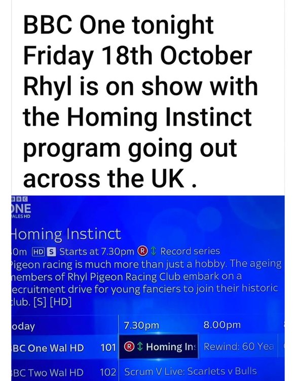 Screenshot_20241018_180158_Facebook.jpg