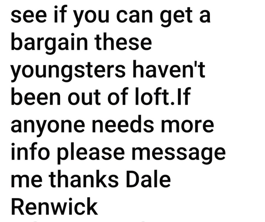 Screenshot_20241105_104220_Facebook.jpg