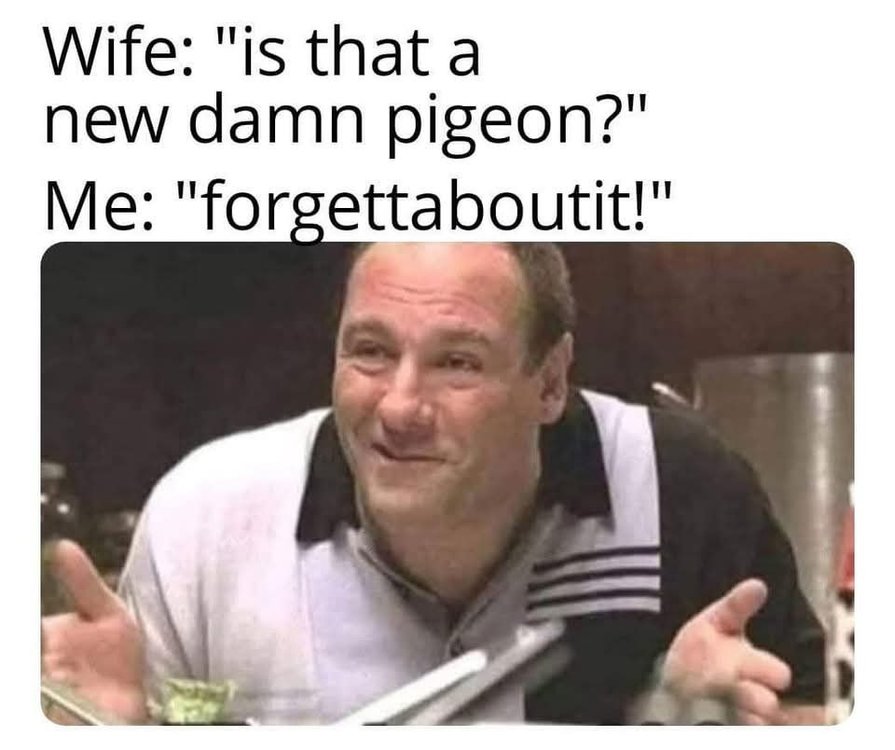 FB_IMG_1737400997063.jpg