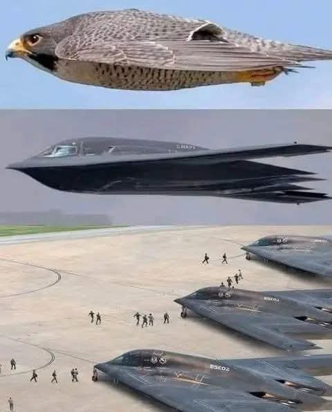 FB_IMG_1739379441186.jpg