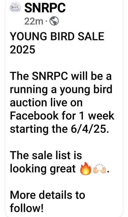 Screenshot_20250218_124608_Facebook.jpg