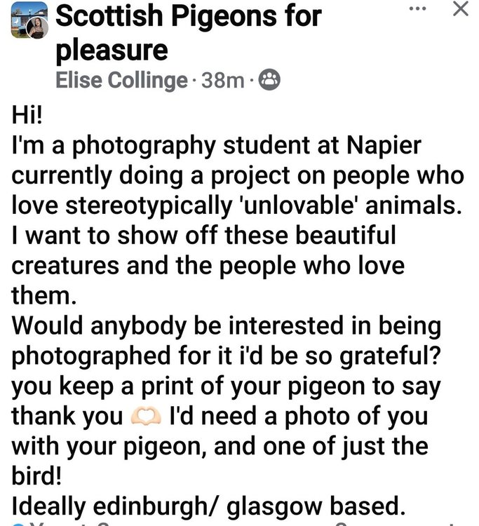Screenshot_20250218_181757_Facebook.jpg
