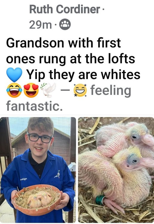 Screenshot_20250313_184321_Facebook.jpg
