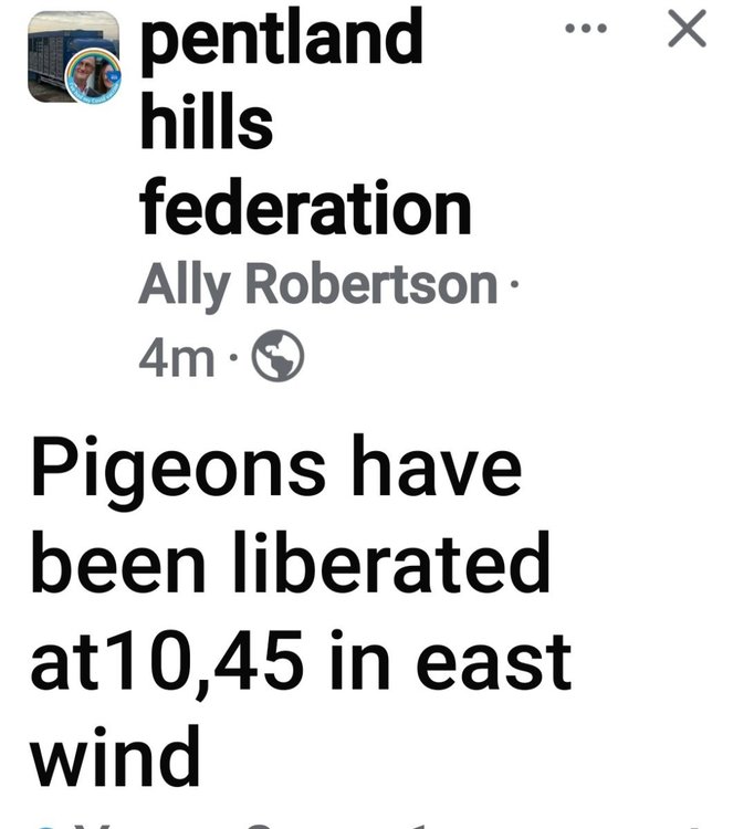 Screenshot_20250419_105048_Facebook.jpg