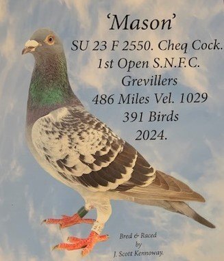 Mason see text.jpg