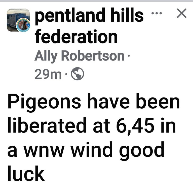 Screenshot_20250503_071539_Facebook.jpg