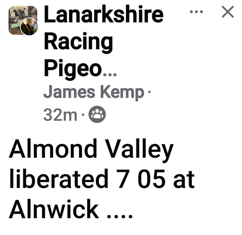 Screenshot_20250503_081505_Facebook.jpg