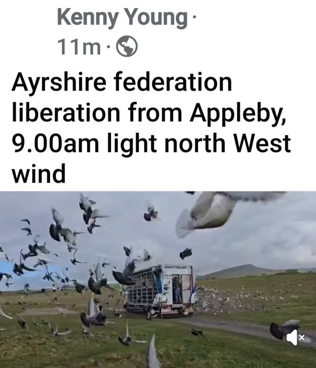 Screenshot_20250503_092950_Facebook.jpg