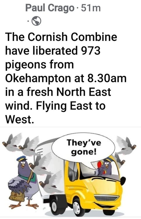 Screenshot_20250503_093059_Facebook.jpg