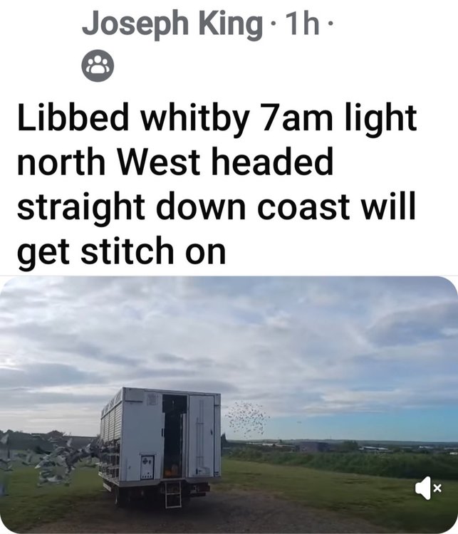 Screenshot_20250503_094130_Facebook.jpg