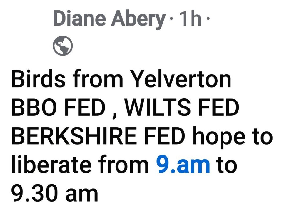 Screenshot_20250510_102558_Facebook.jpg