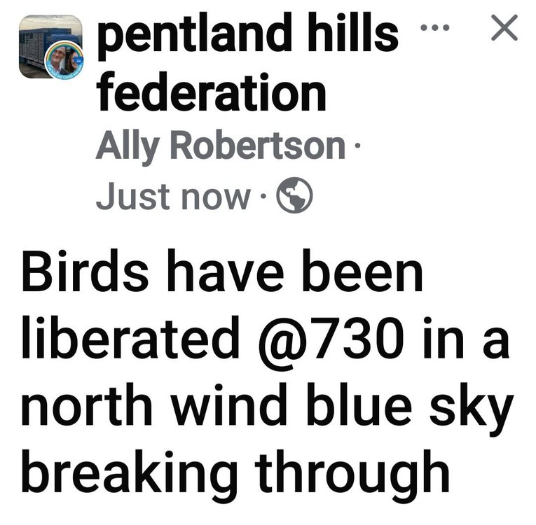 Screenshot_20250517_073229_Facebook.jpg
